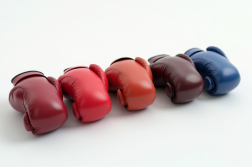 Cinq paires de gants de boxe haut de gamme alignés